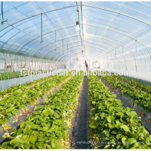 Film à effet de serre Hotsell de style naturel pour la plantation de tomates